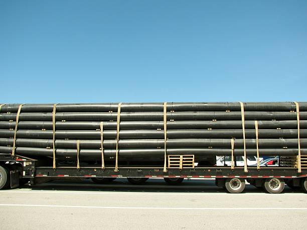 WhatsApp Image 2023-08-12 at 14.04.08 (1)